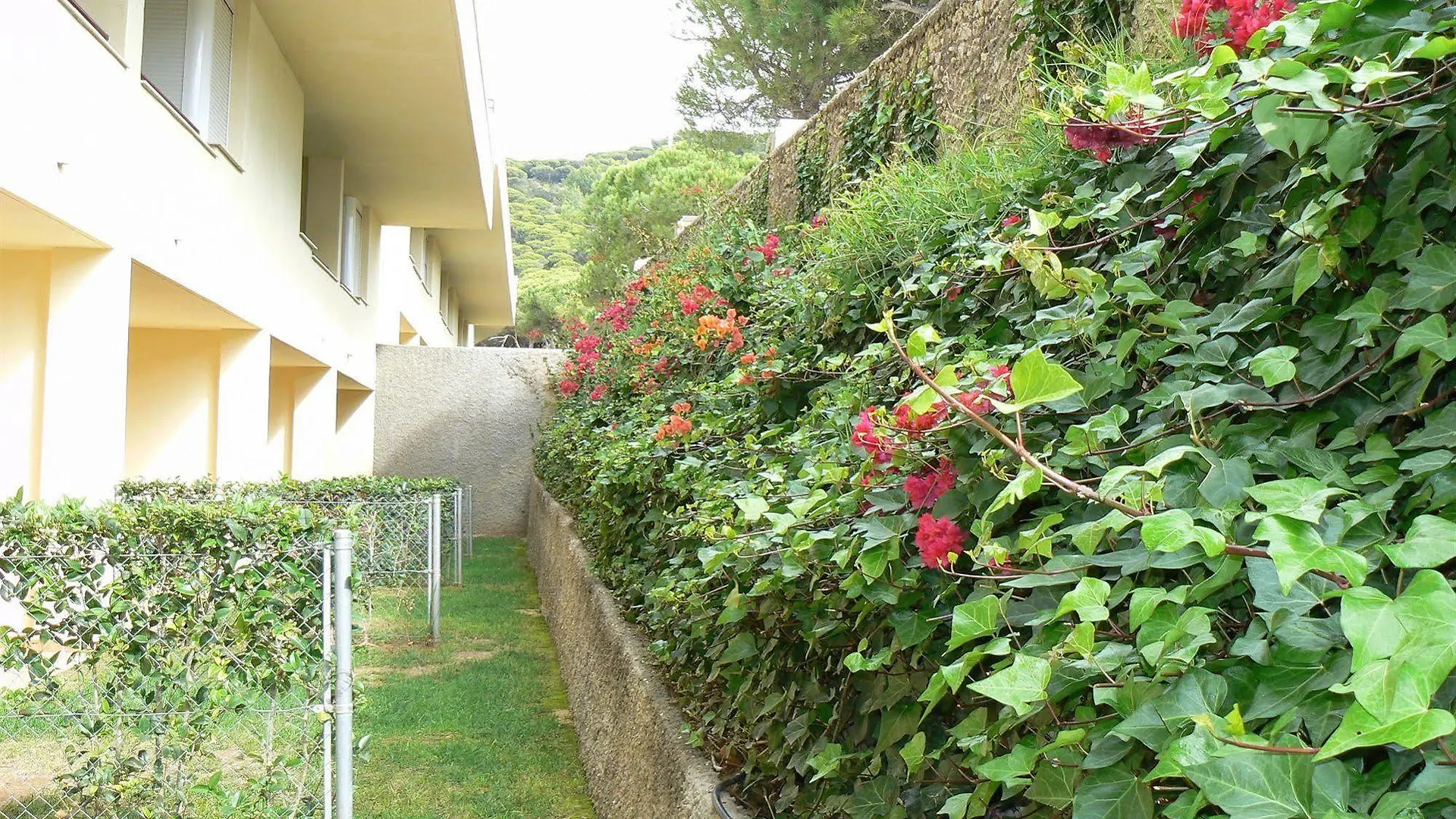 Apartamentos Turisticos Caños de Meca Los Caños de Meca