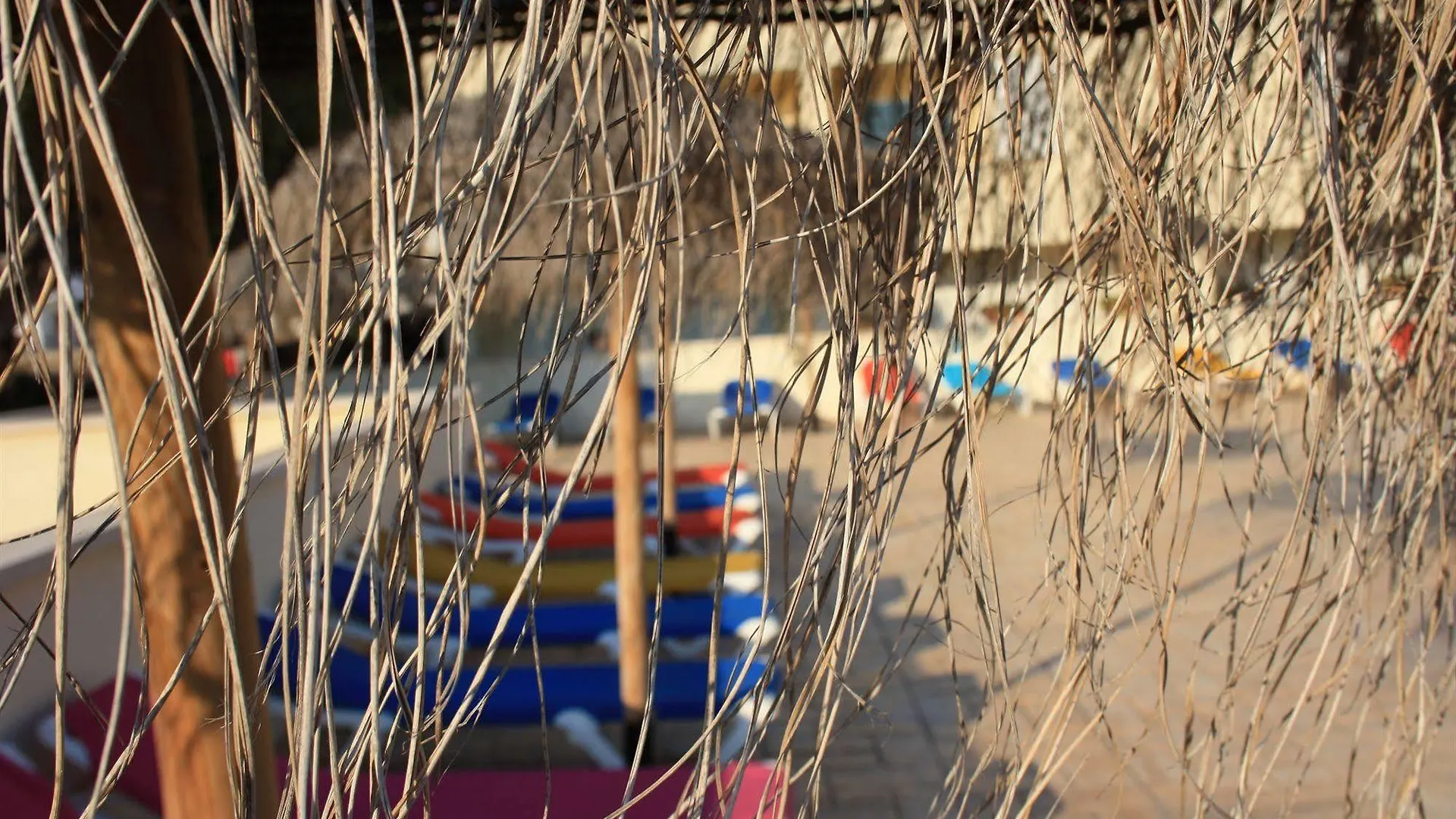 Apartamentos Turisticos Caños de Meca Los Caños de Meca